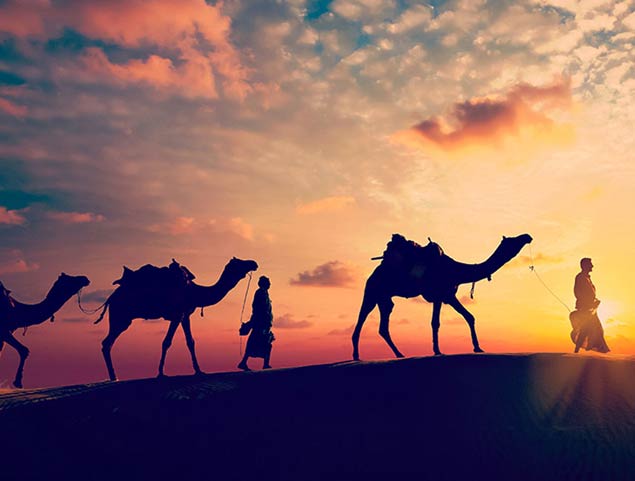 6 Things Not To Miss On A Holiday To Rajasthan