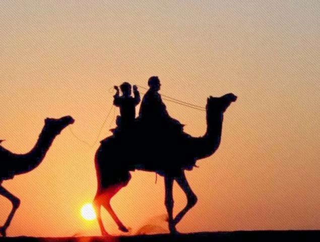 Places To Enjoy Camel Safari In Rajasthan