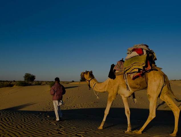 Top 7 places to visit near Jaisalmer