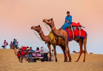 Camel Safari in Jaisalmer