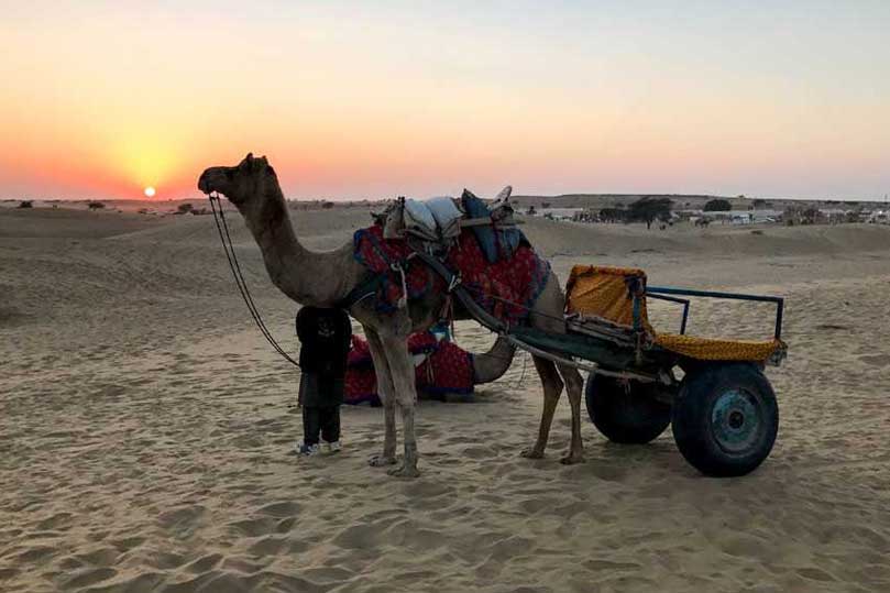 Overnight Camel Safari Tour Package