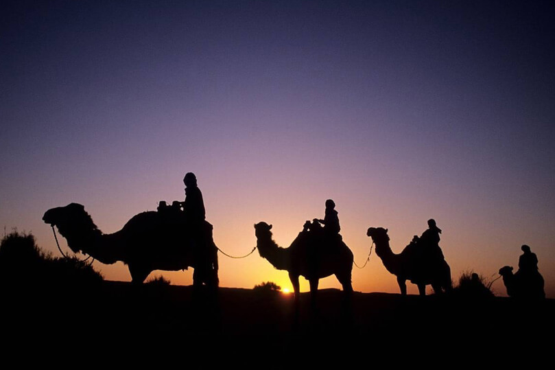 Overnight Camel Safari Tour Package